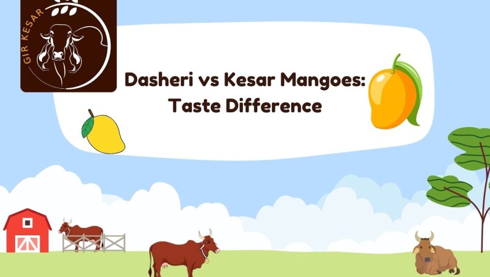 Dasheri vs Kesar Mangoes