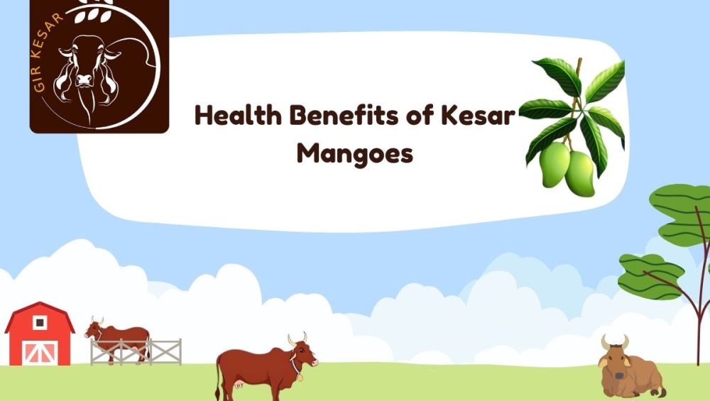 Health Benefits of Kesar Mangoes
