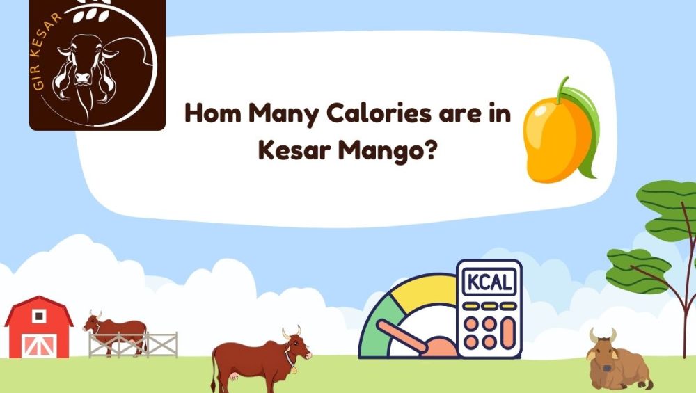 Hom Many Calories are in Kesar Mango