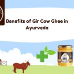 gir cow ghee in ayurveda