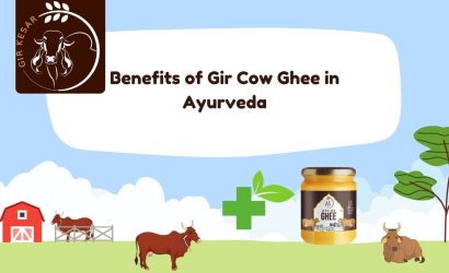 gir cow ghee in ayurveda
