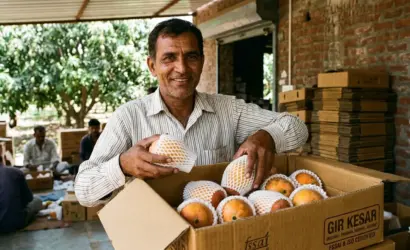 buy kesar mango online