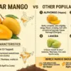 best mango variety india